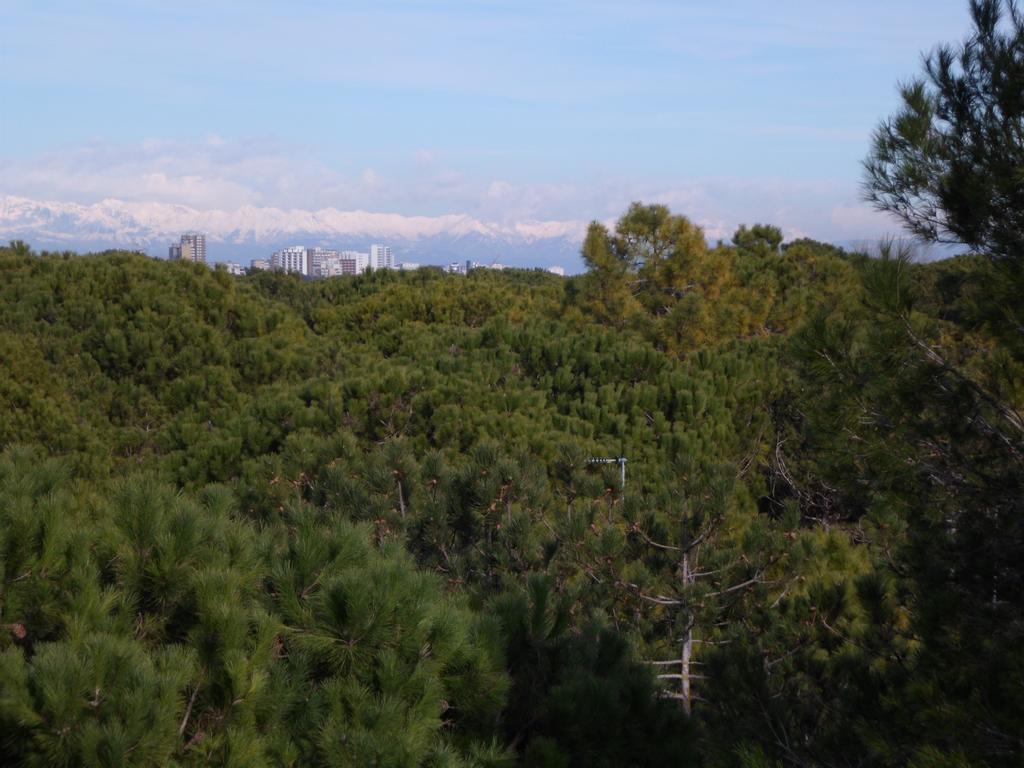 Residence Gardenia Lignano Sabbiadoro Kültér fotó